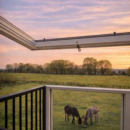 Pause Au Petit Paradis Pensión